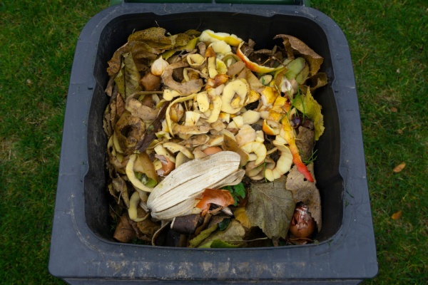 portugalas-food-waste-law-what-it-means-for-your-businessaand-how-to-turn-compliance-into-opportunity-image