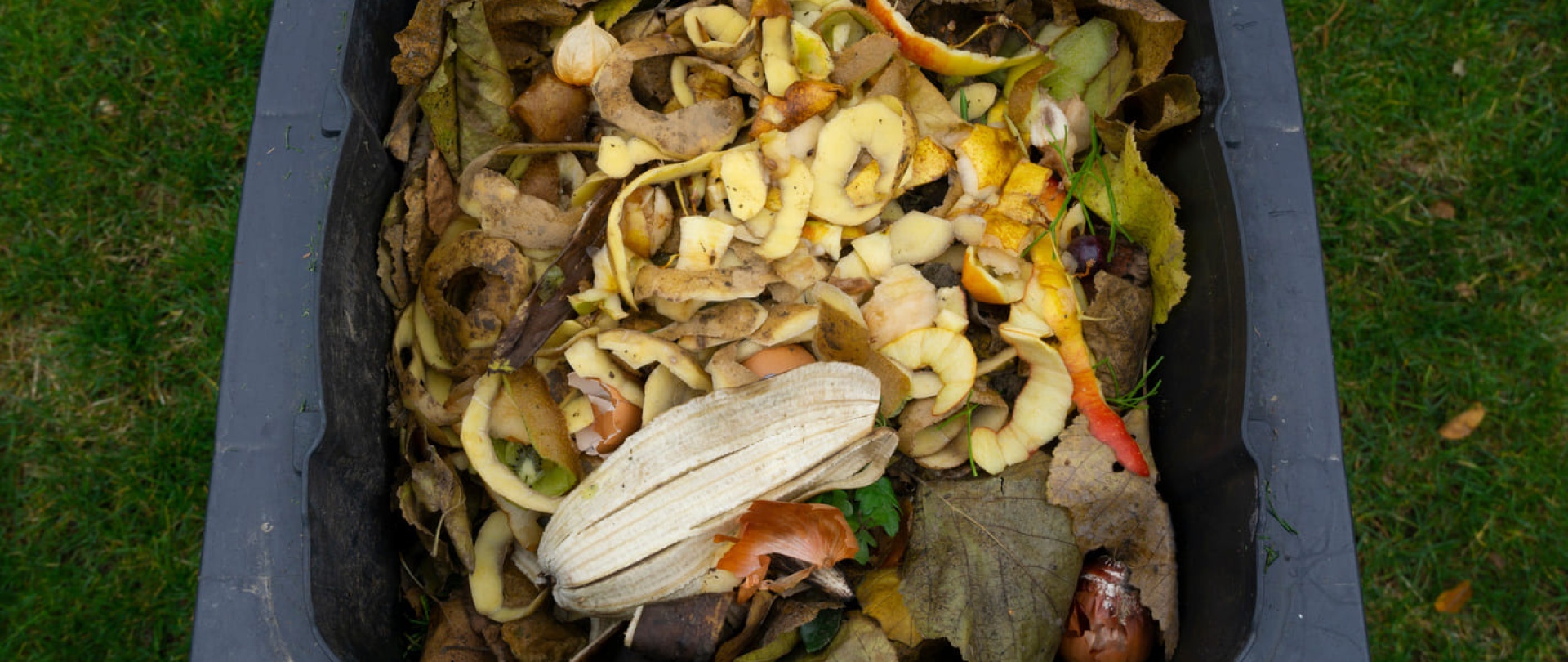 Portugal’s Food Waste Law: What It Means for your business—and how to turn compliance into opportunity