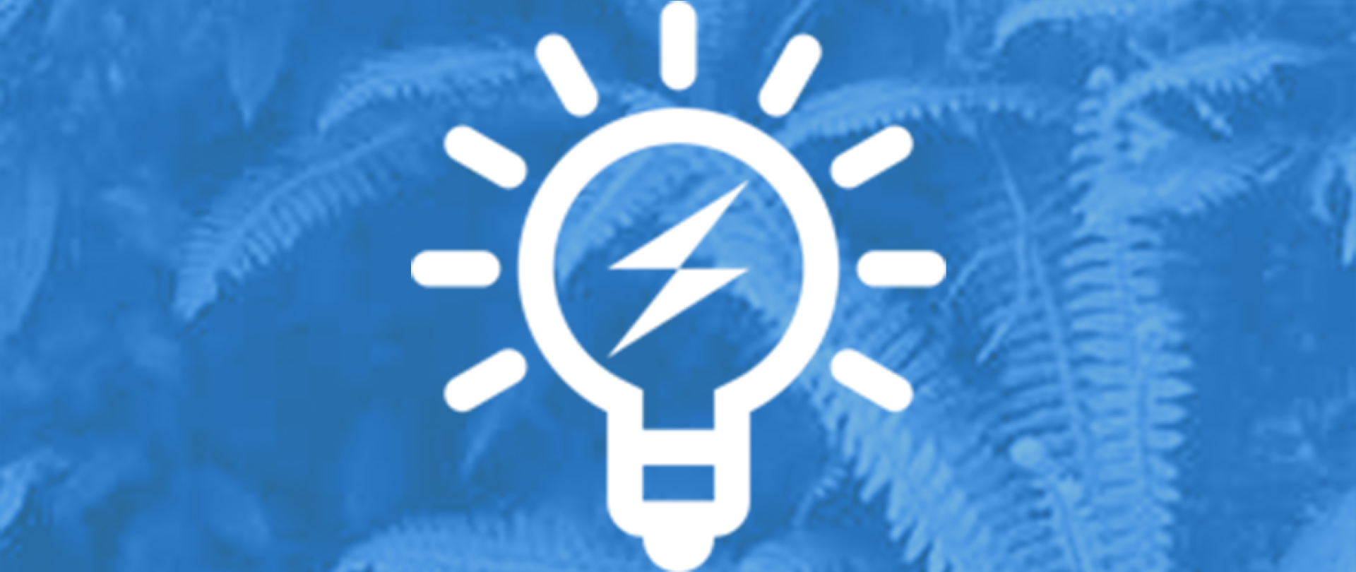 BNR Radio about The Waste Transformers