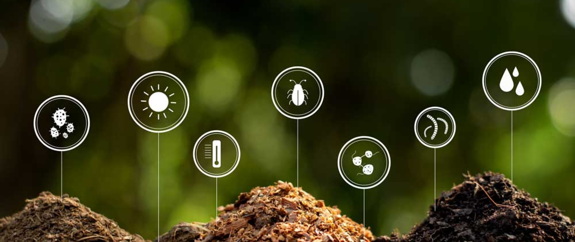 Today UN International Day of Awareness of Food Waste and Food Loss