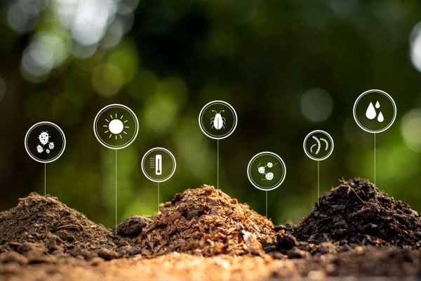 today-un-international-day-of-awareness-of-food-waste-and-food-loss-image