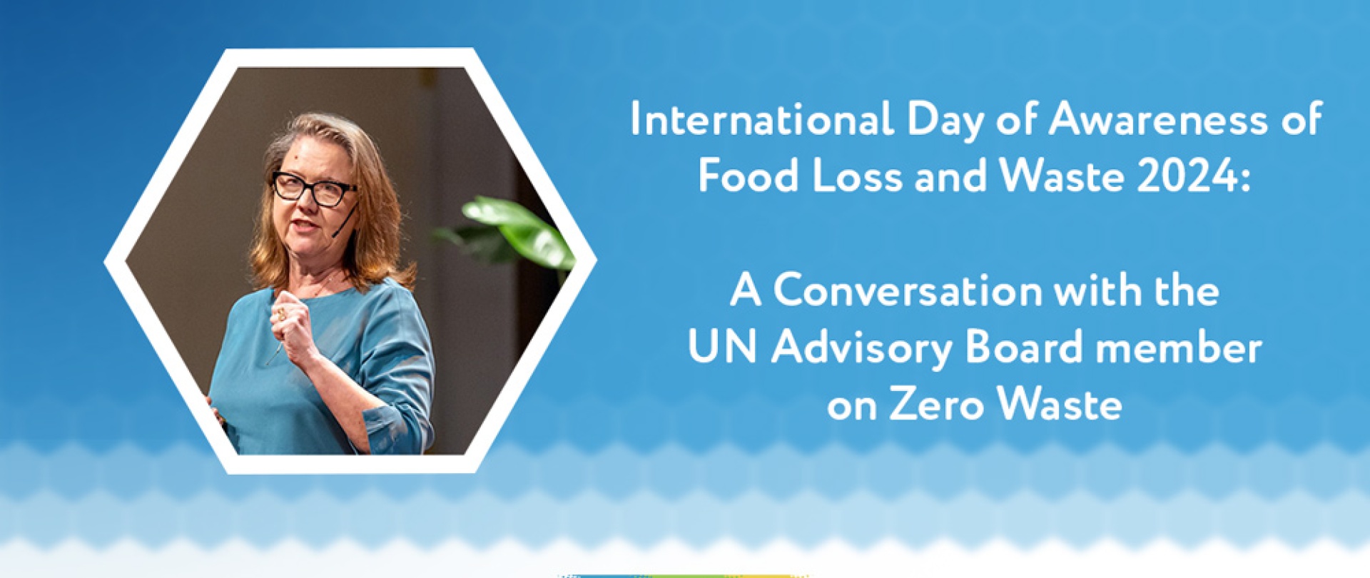 International Day of Awareness of Food Loss and Waste 2024: A Conversation with the UN Advisory Board member on Zero Waste