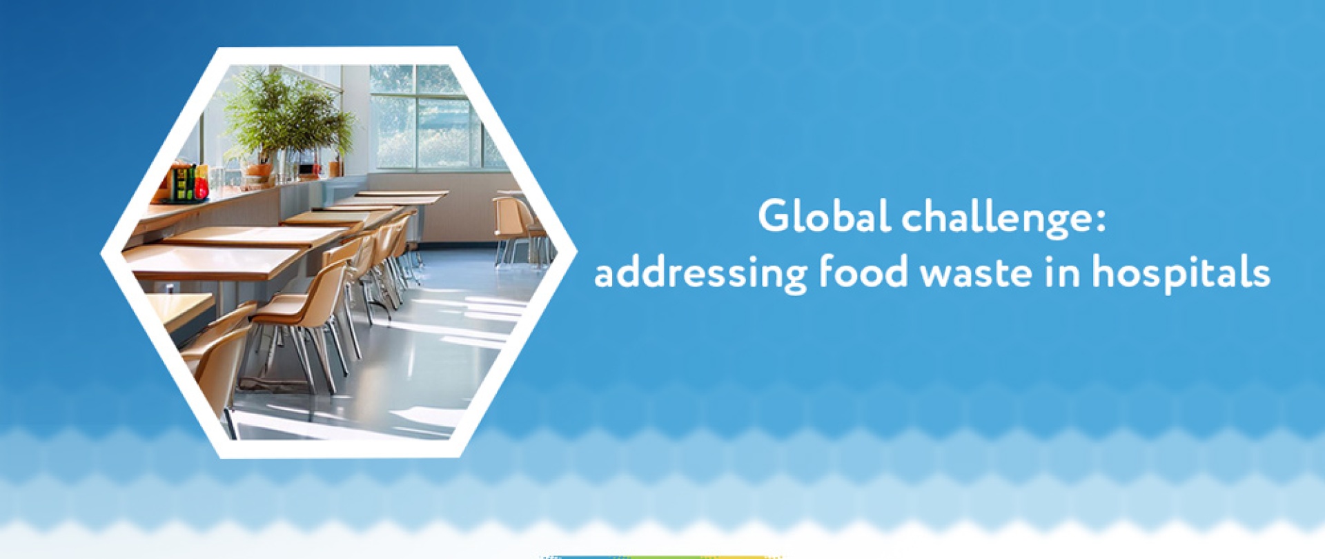 Global challenge: addressing food waste in hospitals