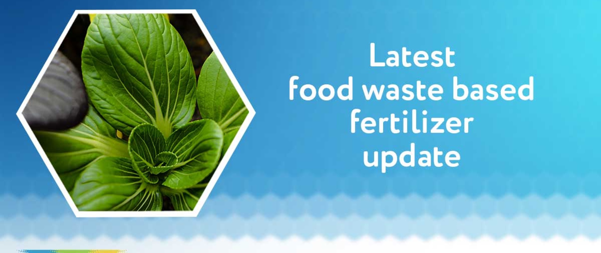 Turning food waste into fertilizer for a sustainable future